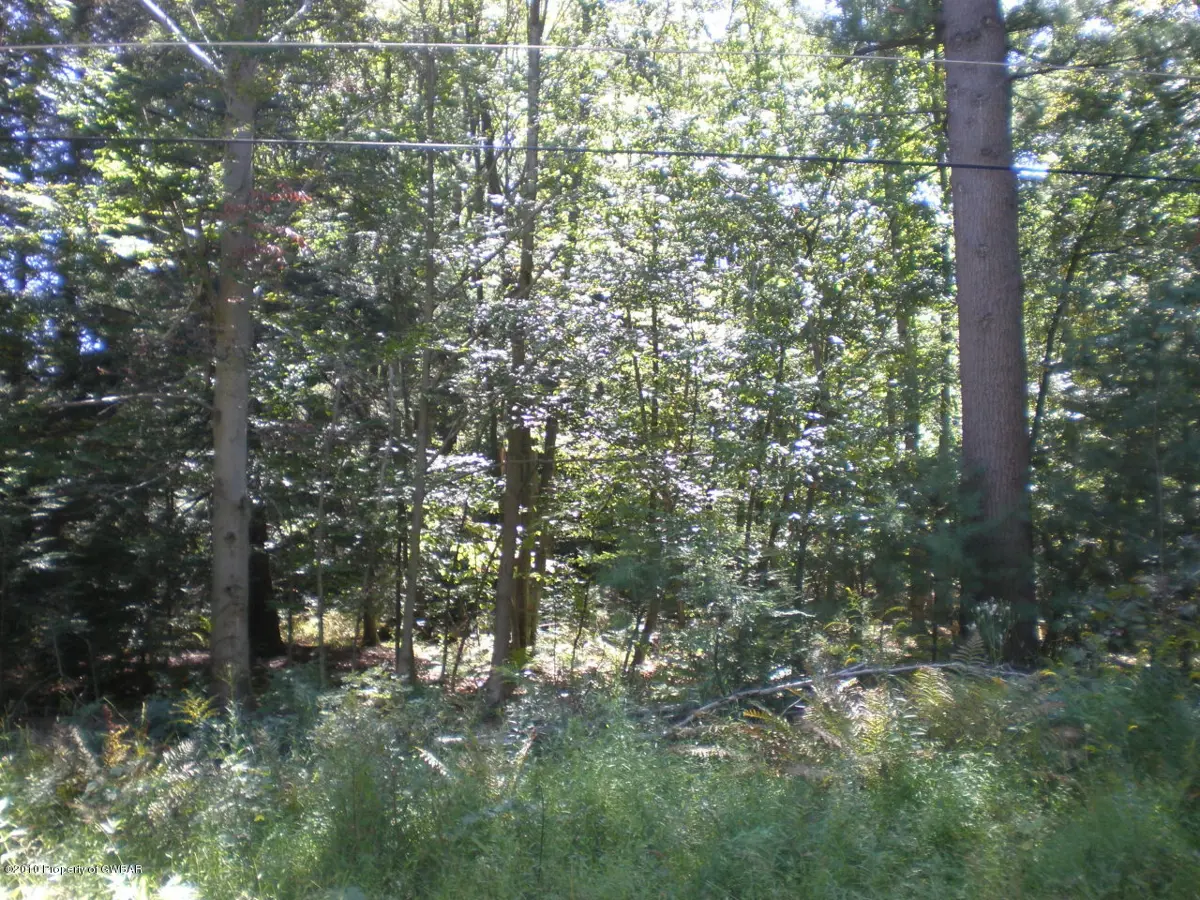 4C Liberty Street, Mountain Top in Mountain Top