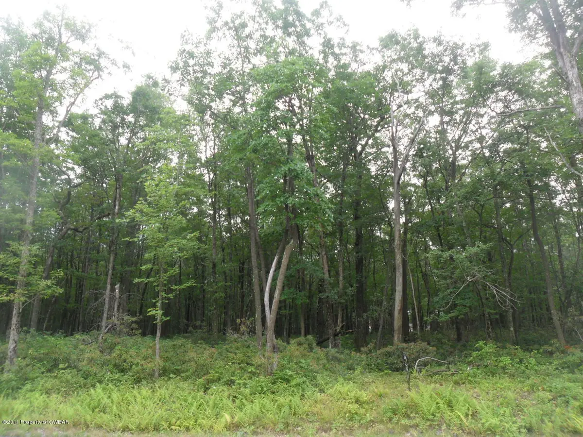 Lot 107 Twinbrook Road, Bear Creek in Bear Creek
