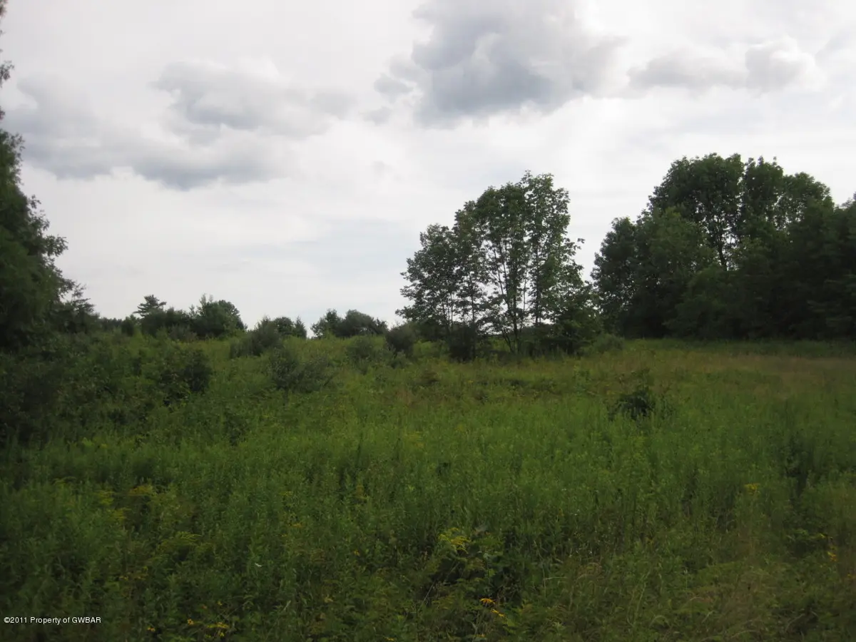 Pond Hill Mt Road, Wapwallopen in Wapwallopen