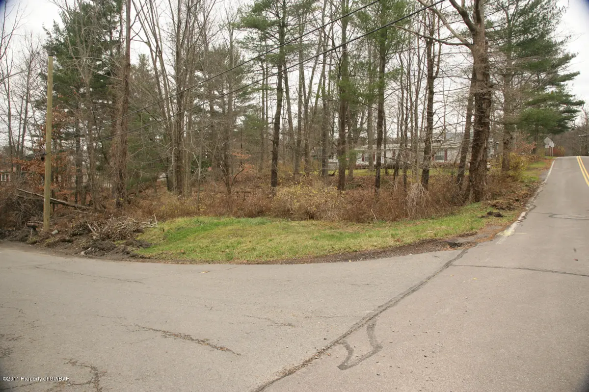 29 HILLSIDE Avenue, Harveys Lake in Harveys Lake