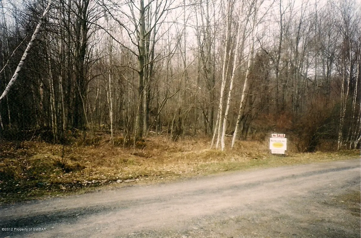 Ashton Rd/Gaynor Ln, Harveys Lake in Harveys Lake
