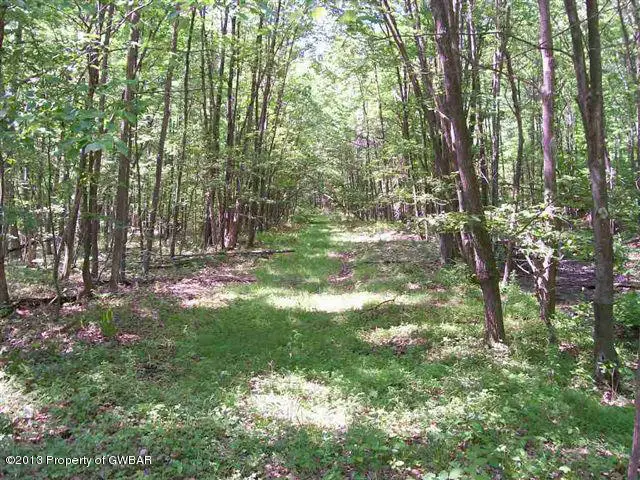 3287 Buck Mountain Road, Weatherly in Weatherly