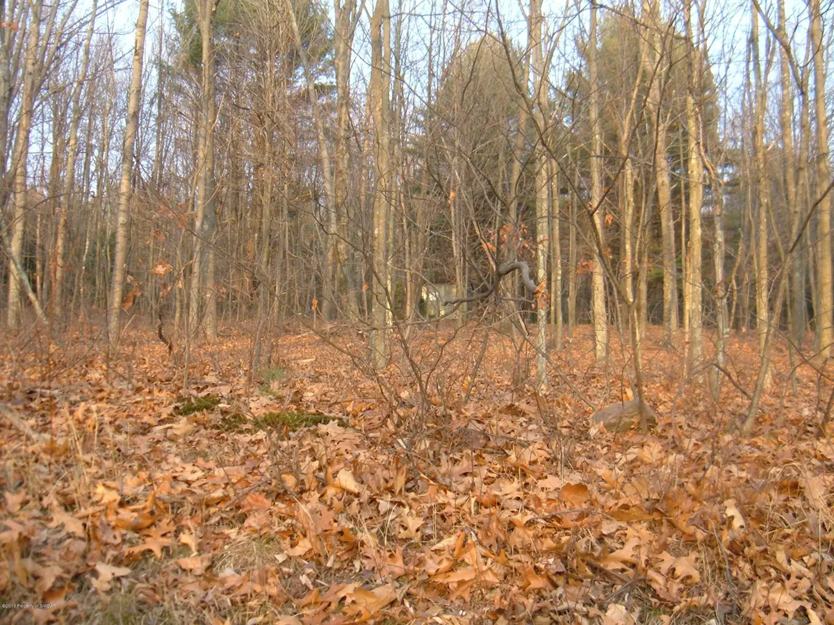 Paragon Road, Shickshinny in Shickshinny