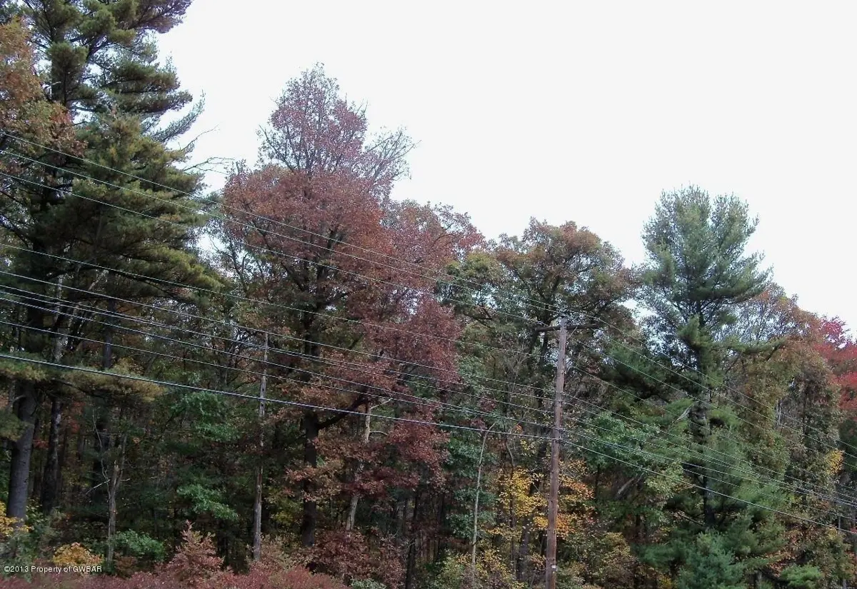 5003 BEAR CREEK Boulevard, Bear Creek in Bear Creek