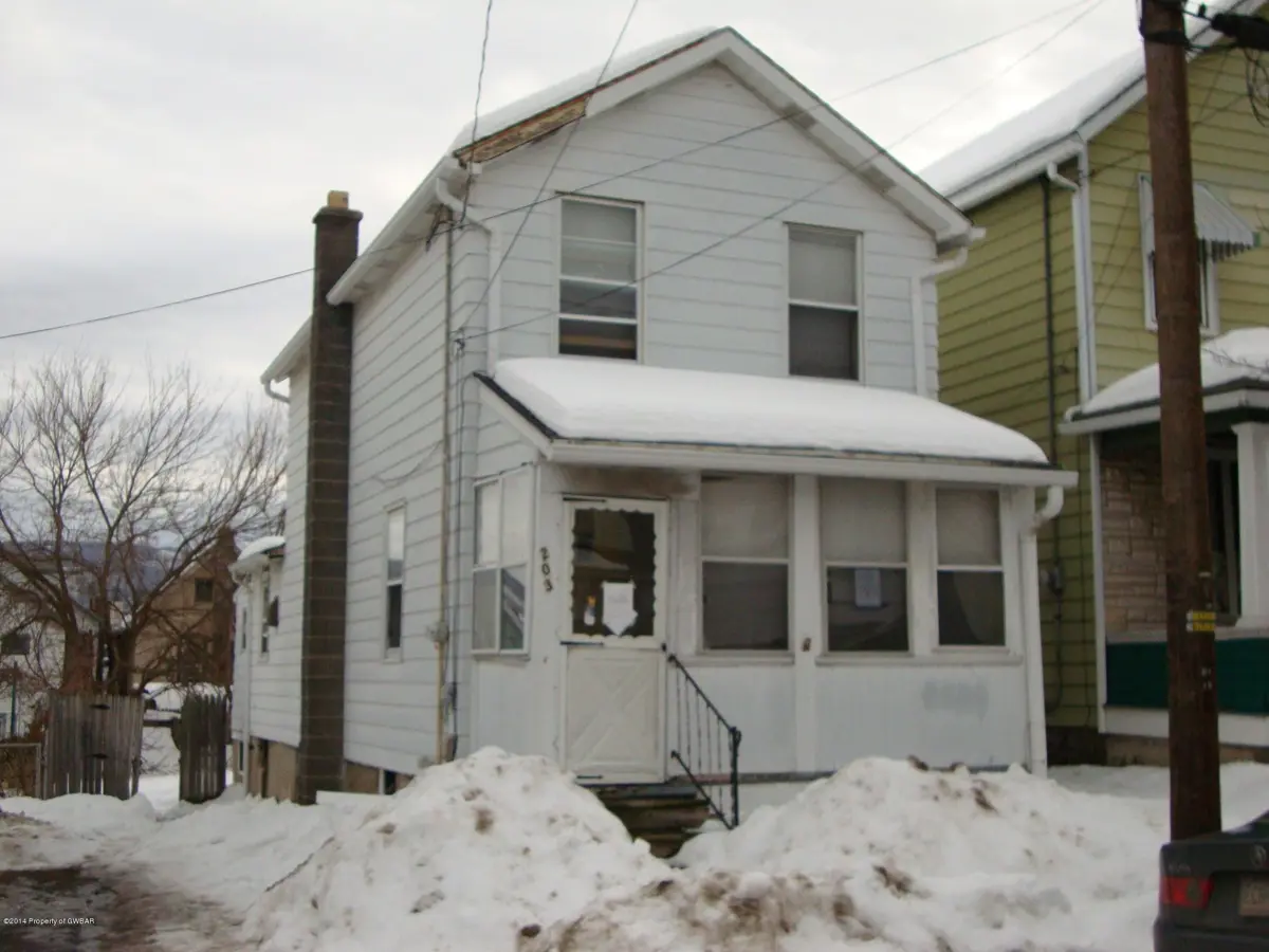 203 Madison Street, Wilkes-Barre in Wilkes-Barre
