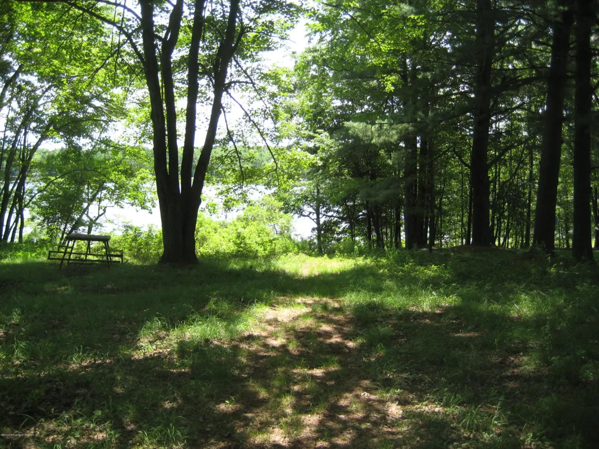 Lakeview Drive, Bear Creek in Bear Creek