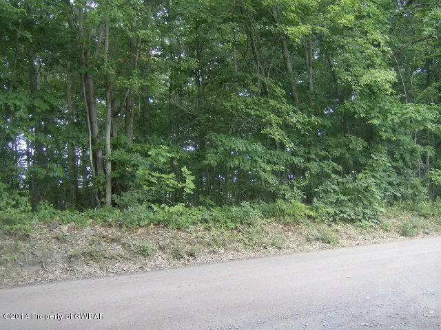 Hollow Road, Wapwallopen in Wapwallopen
