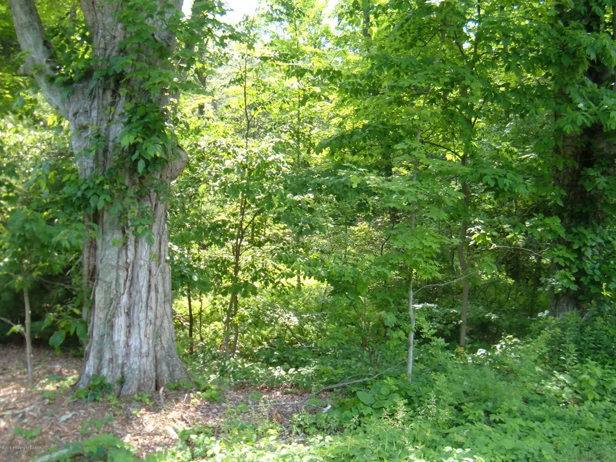 Lot 6 Main Road, Shickshinny in Shickshinny