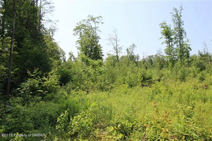 lot# 5&9 Sweet Valley Road, Hunlock Creek in Hunlock Creek