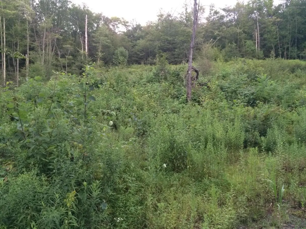 HARTMAN ROAD, Hunlock Creek in Hunlock Creek