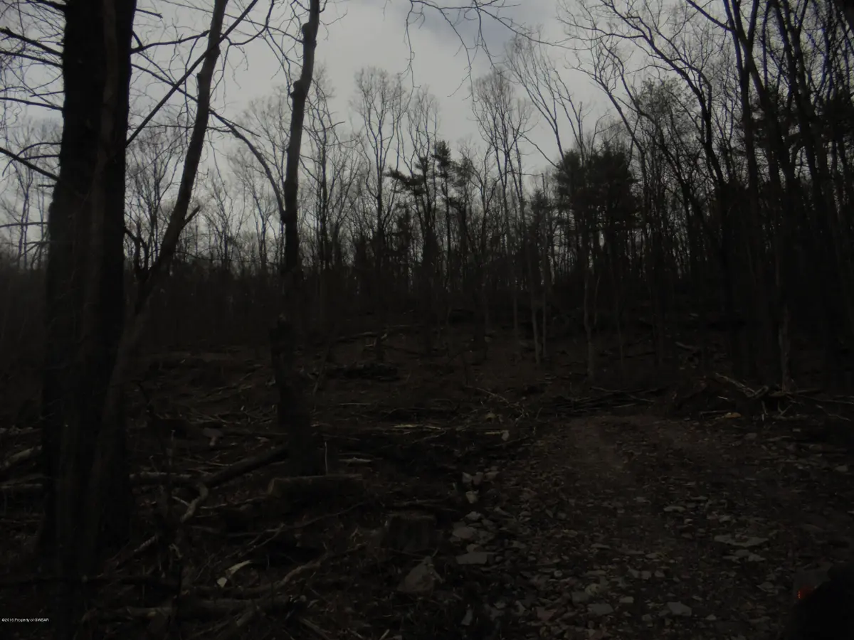 Blue Ridge Trail, Mountain Top in Mountain Top