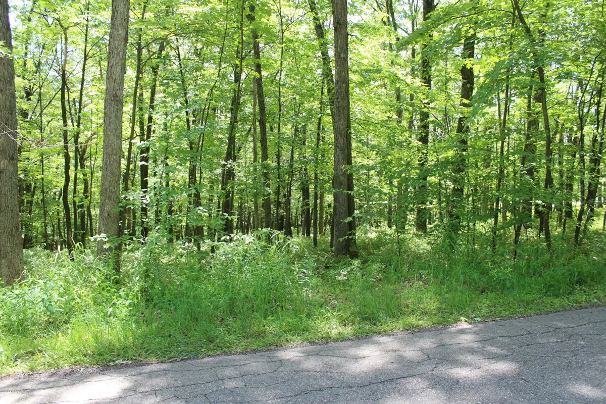 Sugarloaf Heights Road, Drums in Drums
