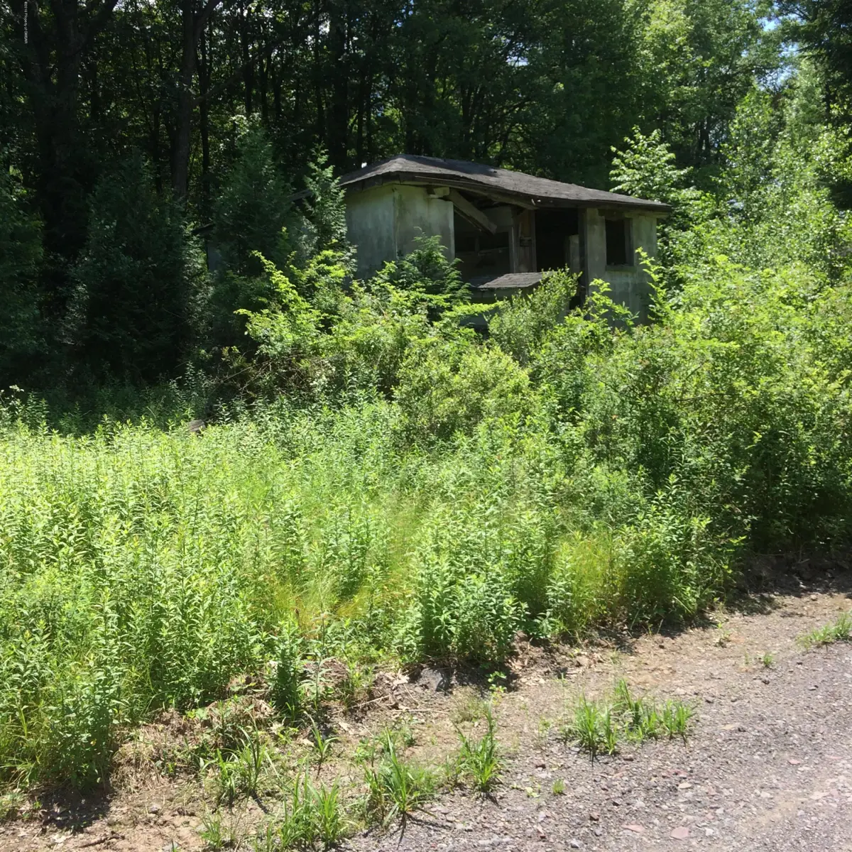 Margrum Lane, Bear Creek in Bear Creek