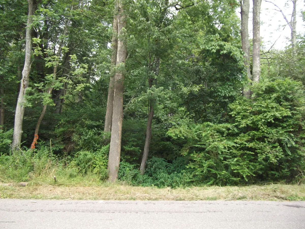 Cedar Head Road, Sugarloaf in Sugarloaf