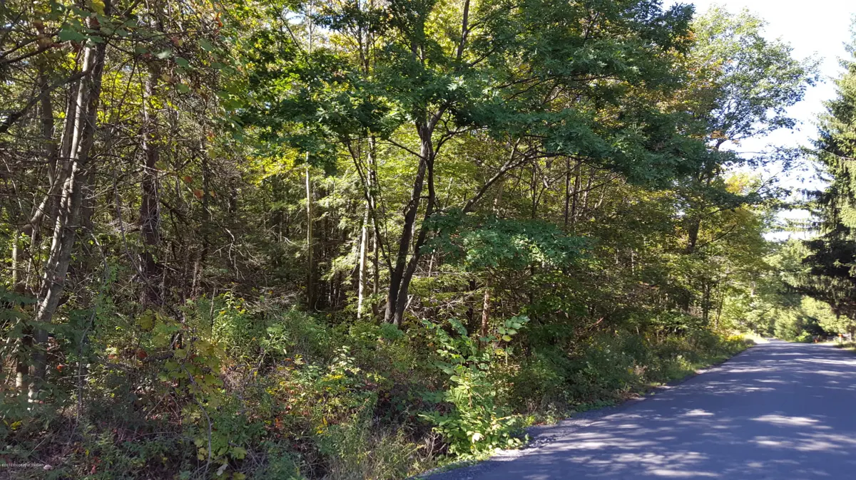 Langan Road, Pittston in Pittston