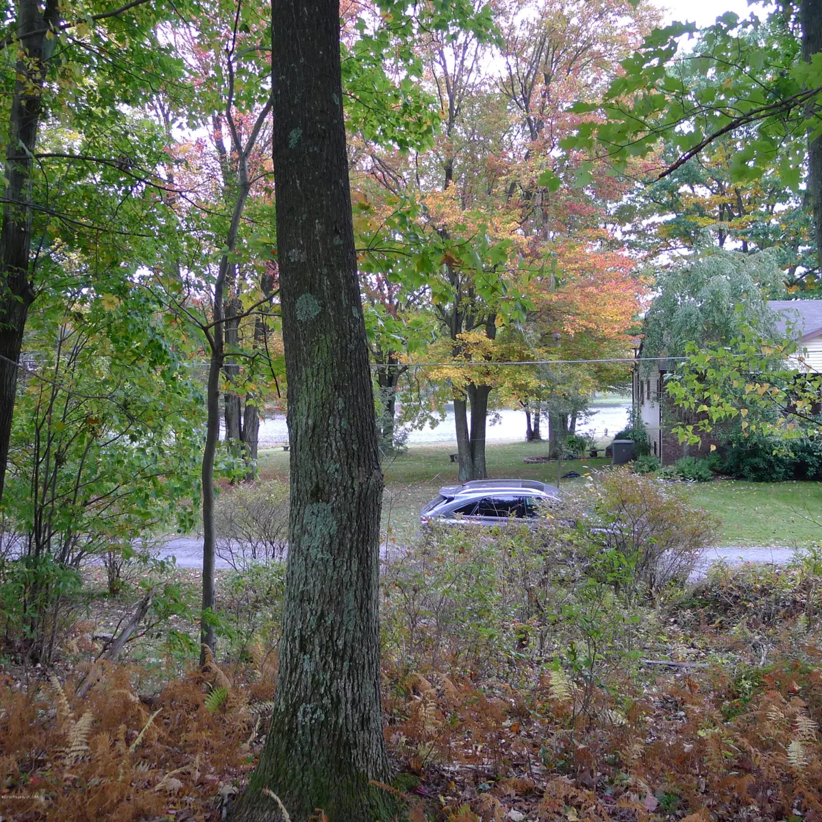 84 West Avenue, Bear Creek in Bear Creek