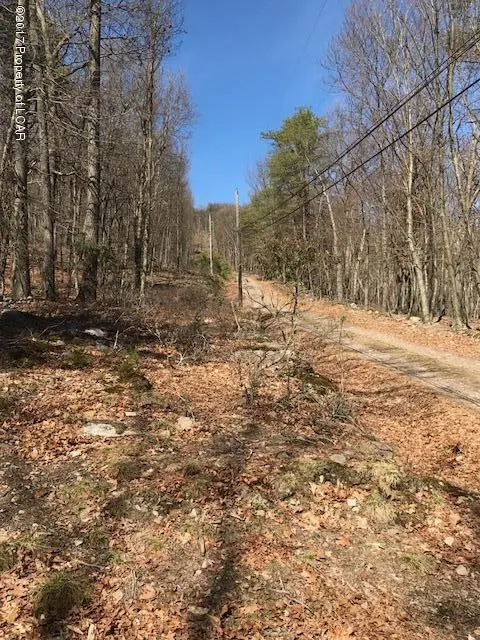 Search Street, Shickshinny in Shickshinny