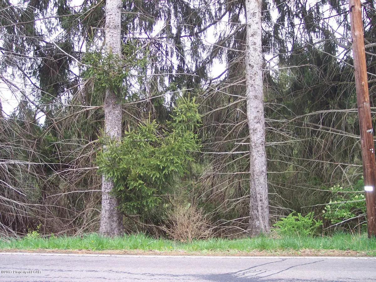 Lot # 3 Pioneer Avenue, Shavertown