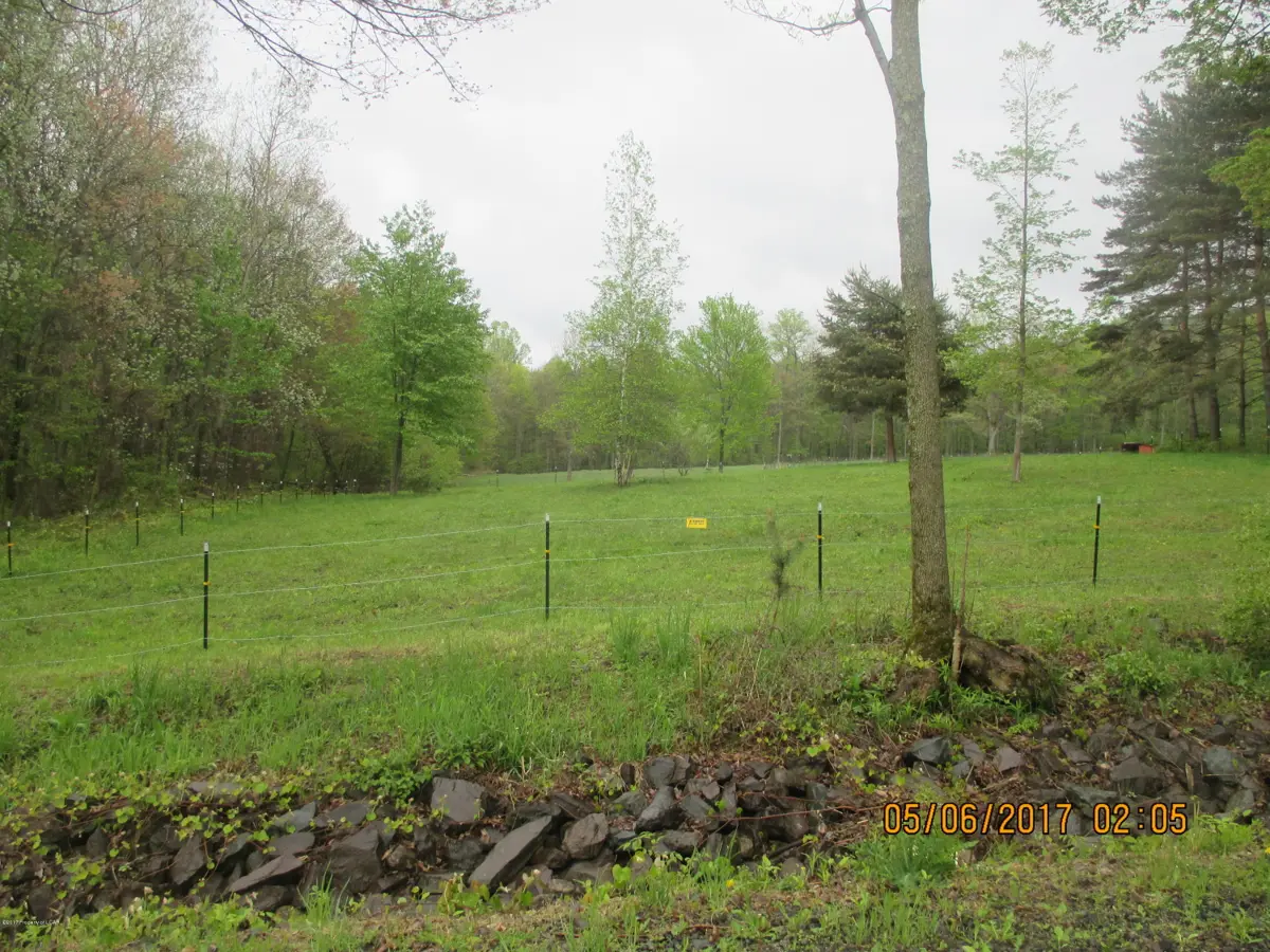 TANEY Road, Wapwallopen in Wapwallopen