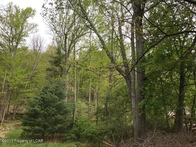 Lots 13/14 Second St., Harveys Lake in Harveys Lake