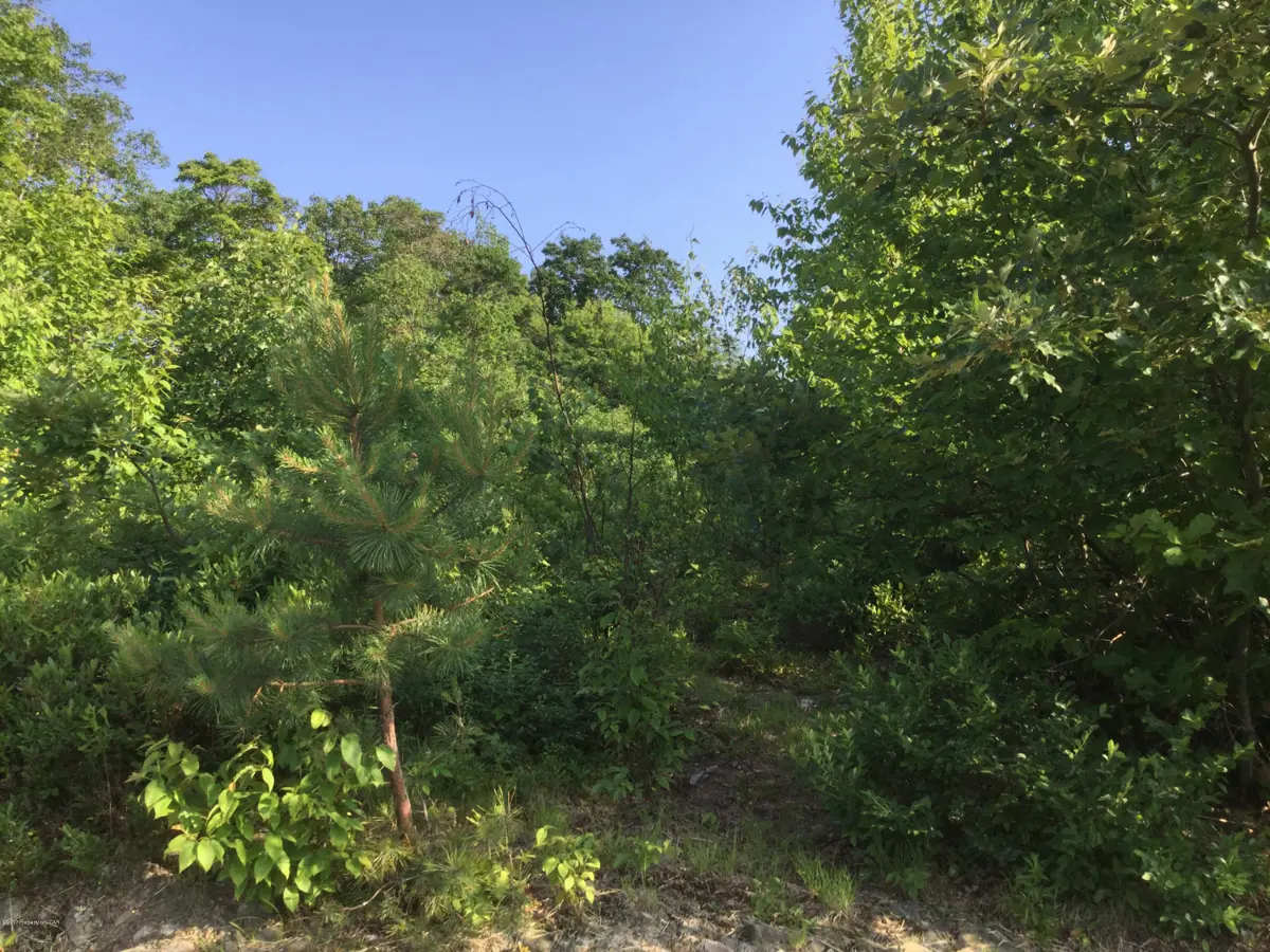 MV 47 Appalachian Way, Hazle Township in Hazle Township