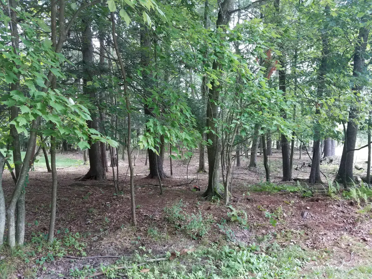 15 Chipper Lane, Wapwallopen in Wapwallopen