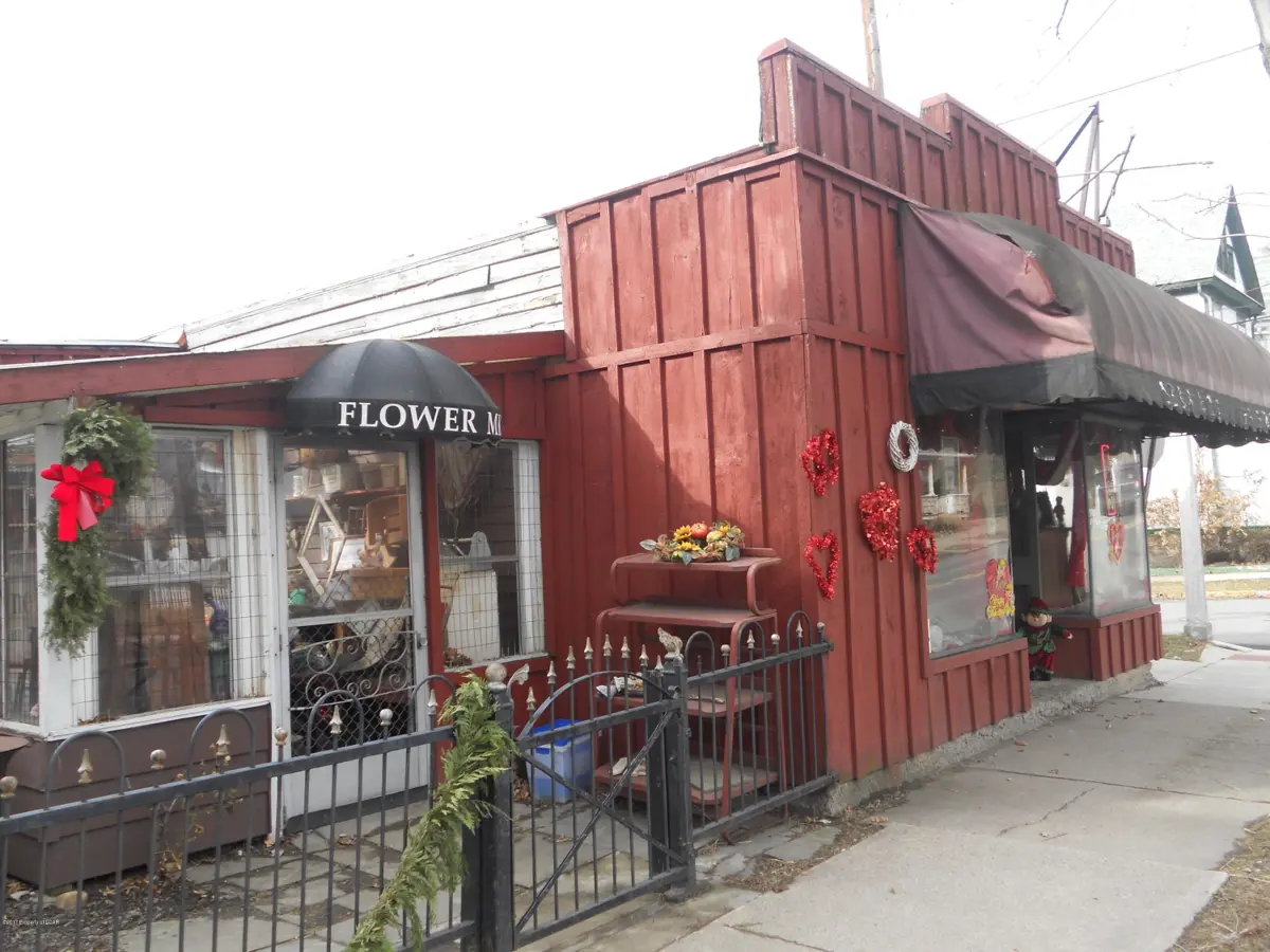 297 BLACKMAN Street, Wilkes-Barre in Wilkes-Barre