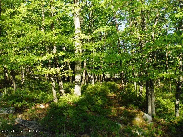 ER II 420 Crooked Stick Lane, Hazle Township in Hazle Township