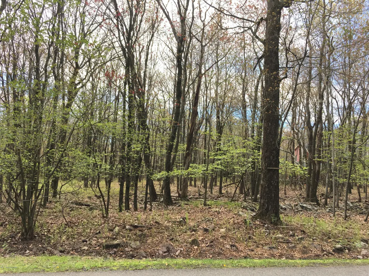 Lot 84 Cottonwood Drive, Jim Thorpe in Jim Thorpe