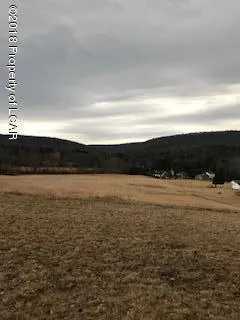 110 SMITH POND RD, Shavertown in Shavertown