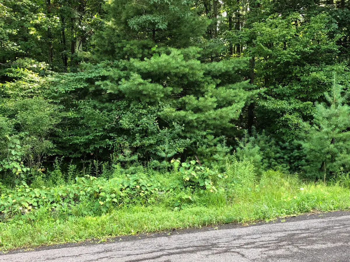 Lot 1 Pine Tree Road, Jackson Township in Jackson Township