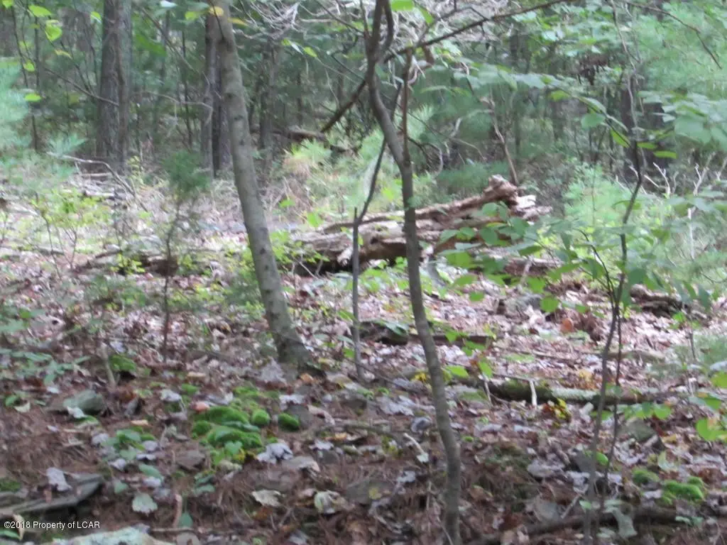 Sorbertown Hill Road, Hunlock Creek in Hunlock Creek