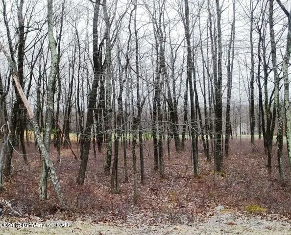 ER II 421 Crooked Stick Lane, Hazle Township in Hazle Township
