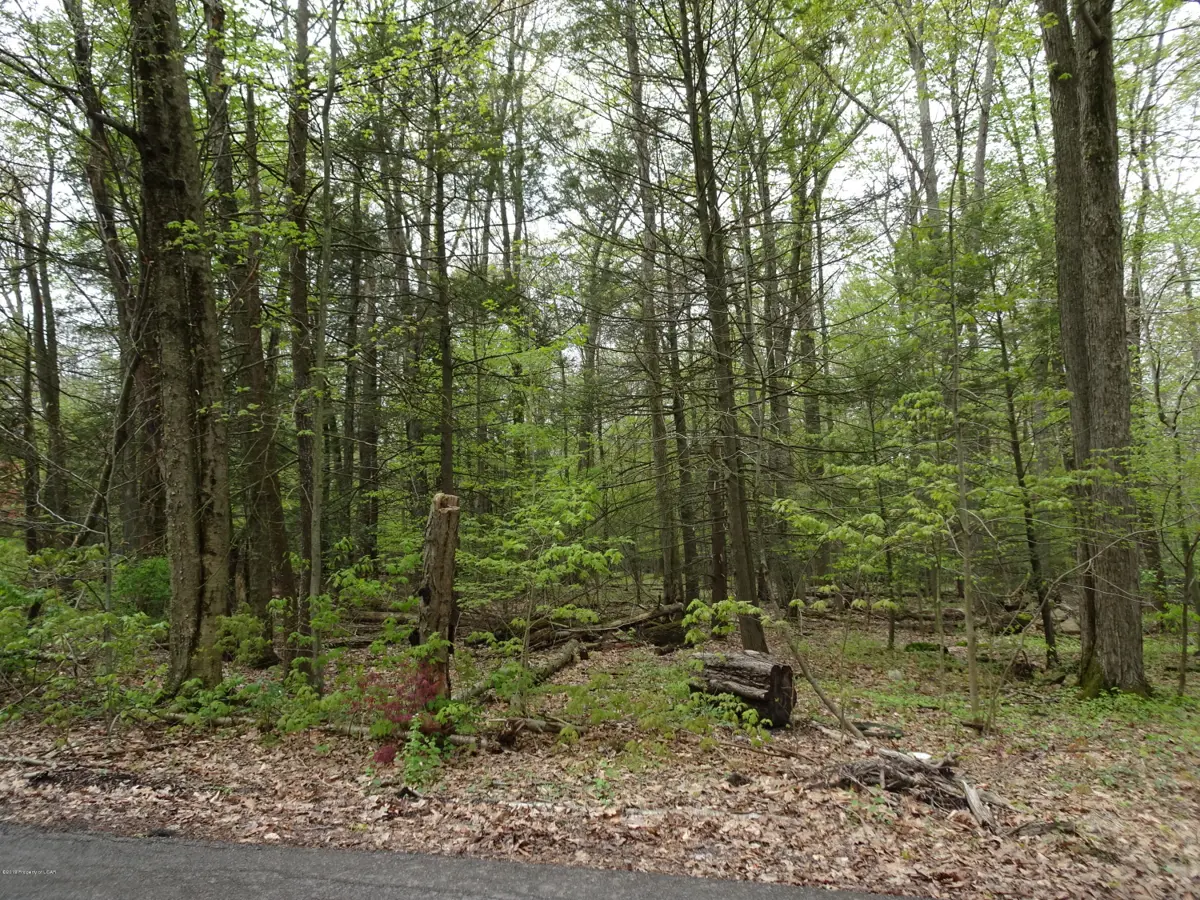 Pine Street, Harveys Lake in Harveys Lake