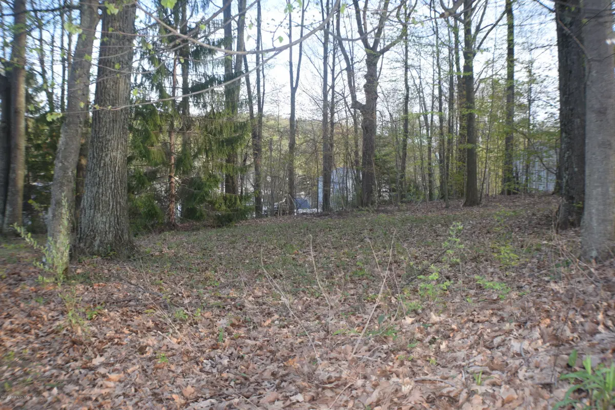 Apple and Pear St, Harveys Lake in Harveys Lake