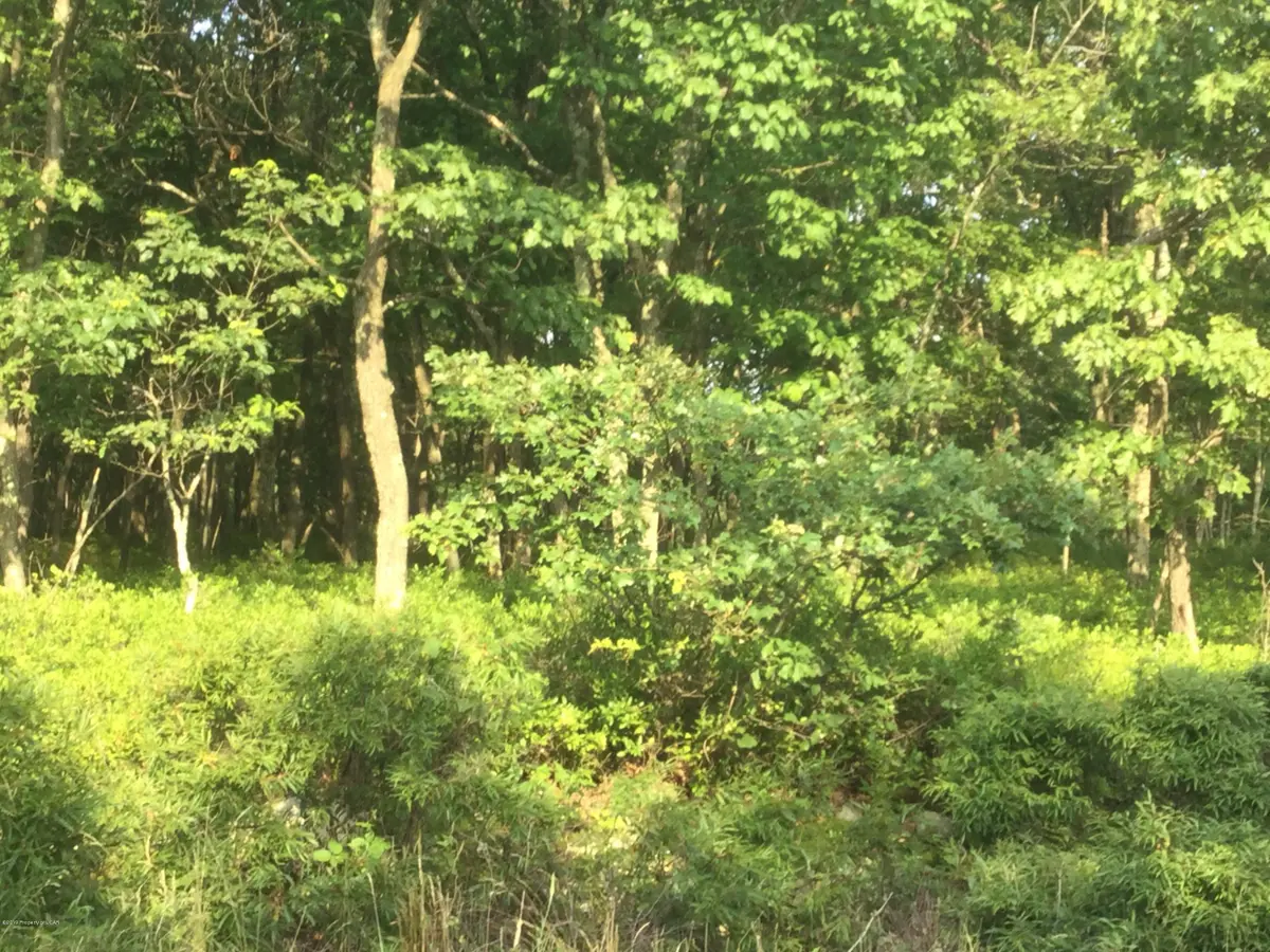 EA Lot 52 W Tuscarora Drive, Hazleton in Hazleton