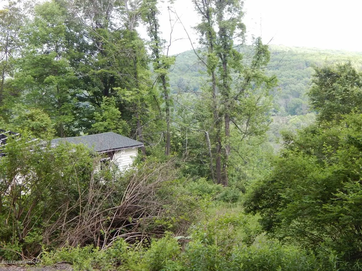 14 &15 Trolley Hill Road, Harveys Lake in Harveys Lake