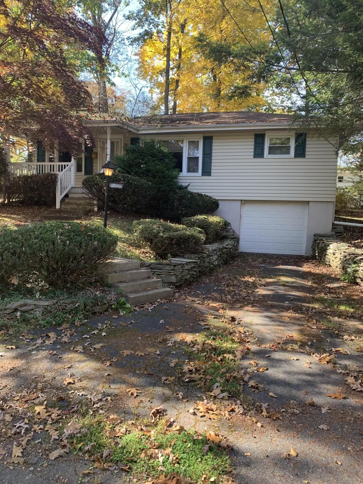 161 Youngblood Avenue, Shavertown in Shavertown