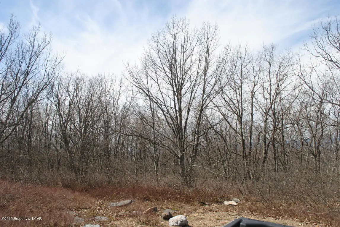 Pike Road & Old East End Boulevard, Bear Creek in Bear Creek