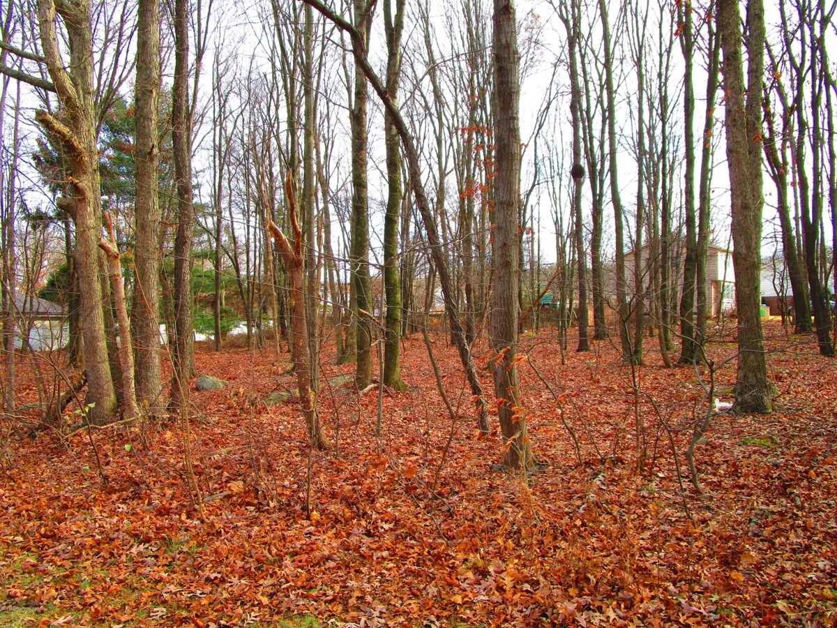 Deer Run Road, Hazle Township in Hazle Township