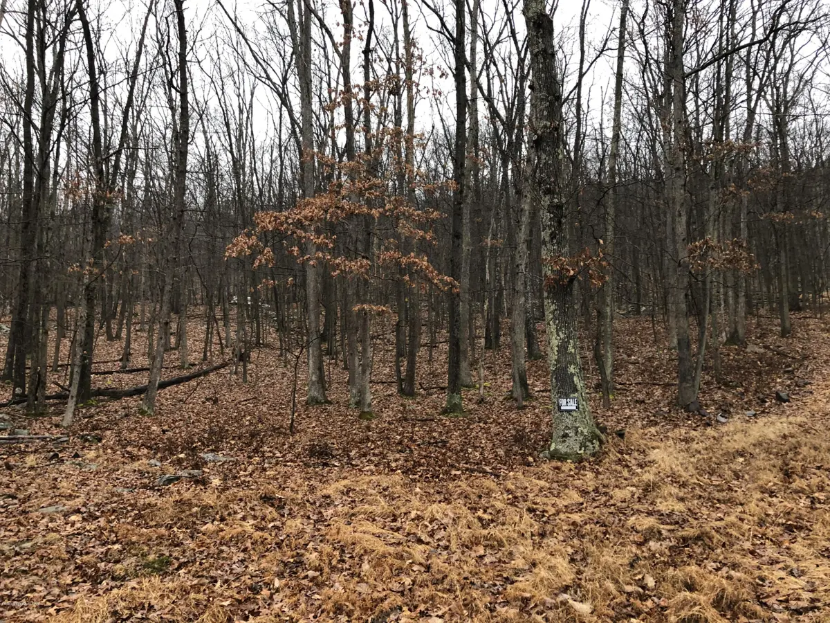 Hilltop Drive, Sugarloaf in Sugarloaf