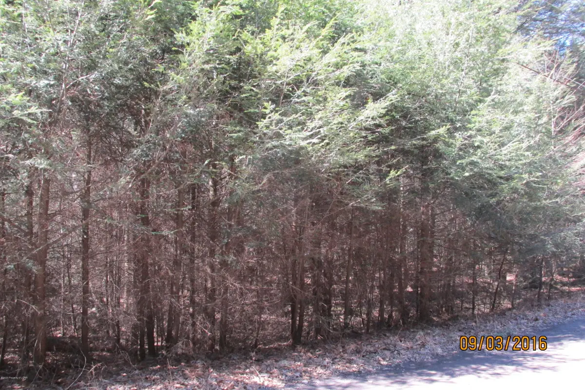 BEAR CREEK Boulevard, Bear Creek in Bear Creek
