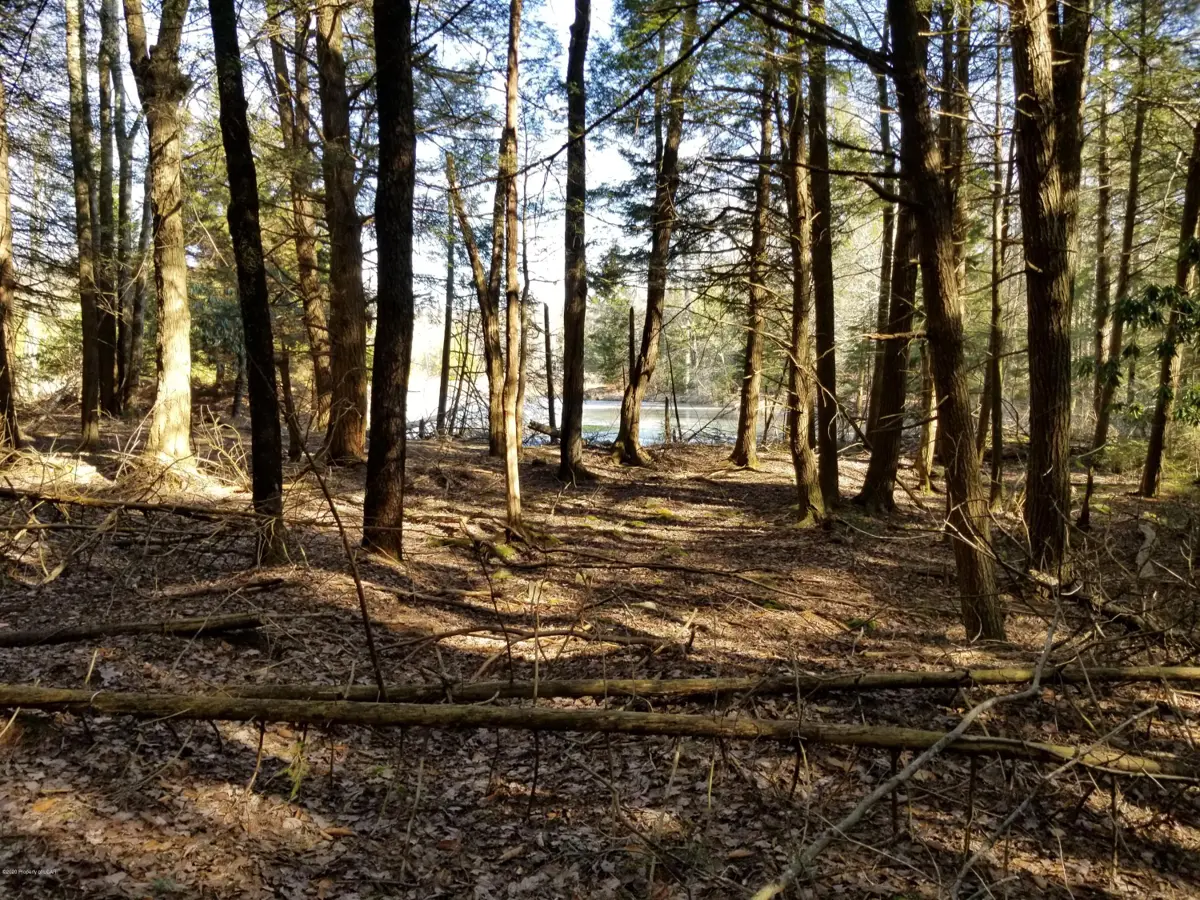 Parcel A Robyn Lane, Pocono Lake in Pocono Lake