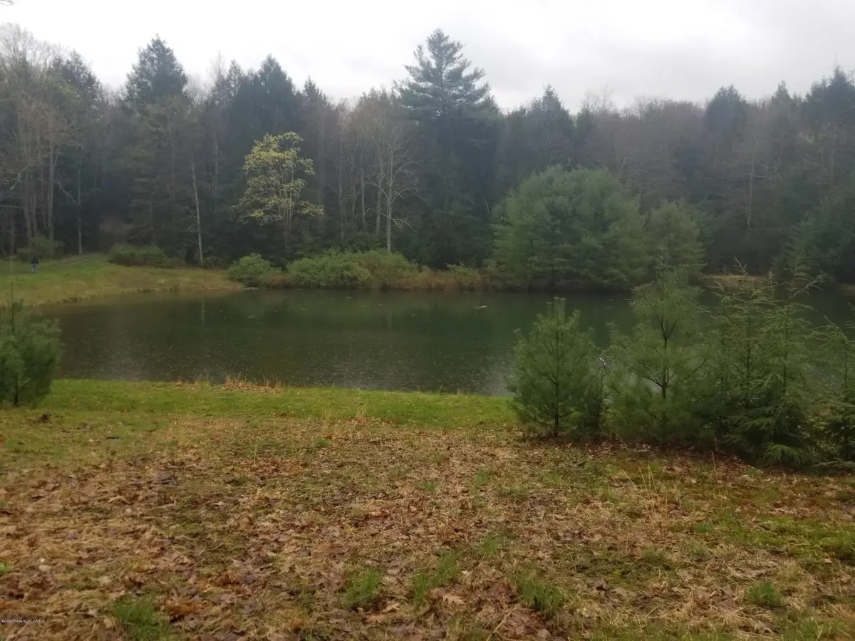 Loyalville Outlet Road, Harveys Lake in Harveys Lake