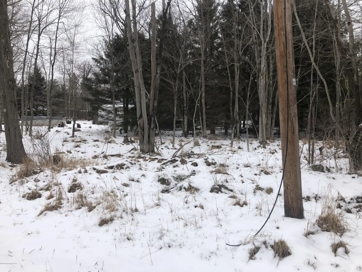 25 Velma Lane, Bear Creek in Bear Creek