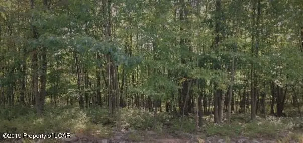LV 424 Wild Ginger Way, Hazle Township in Hazle Township