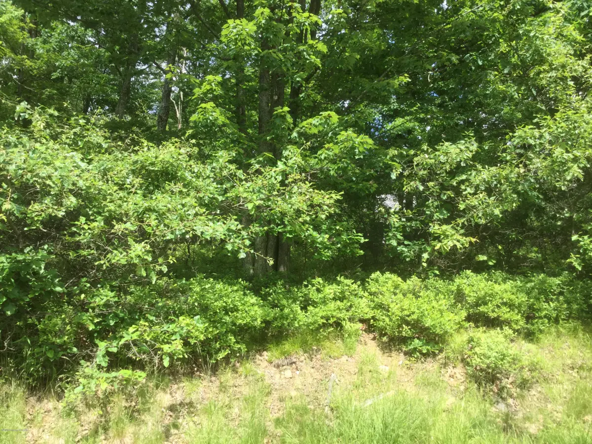 110 Buttonbush Lane, Hazle Township in Hazle Township