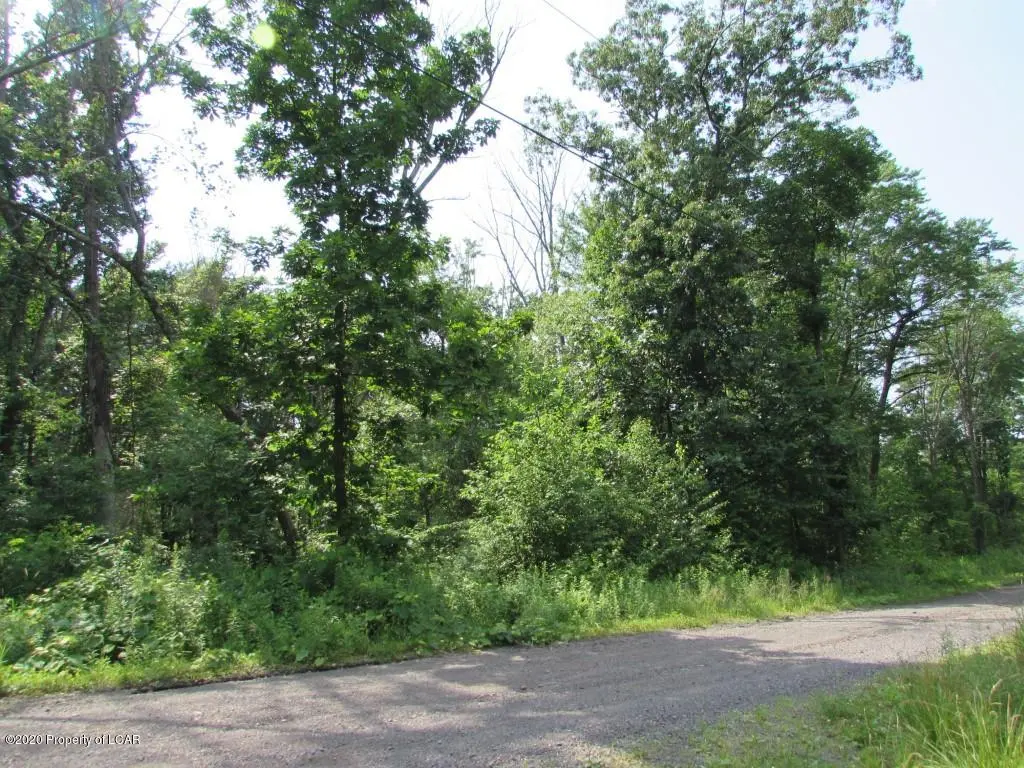 Taney Road, Wapwallopen in Wapwallopen