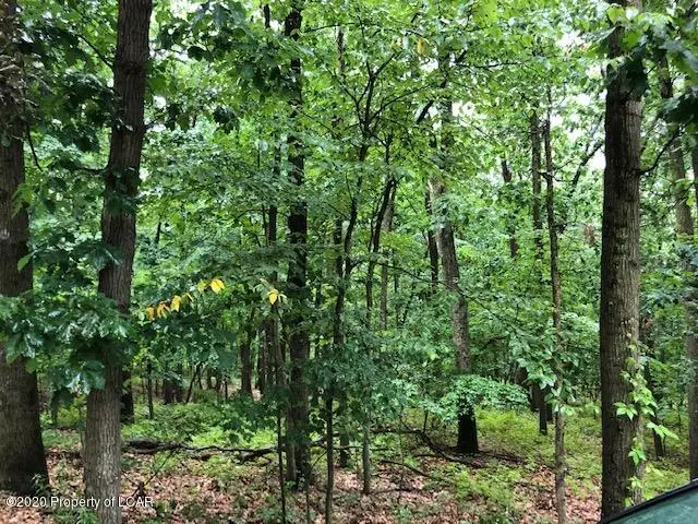 Sugarloaf Heights Road, Sugarloaf in Sugarloaf