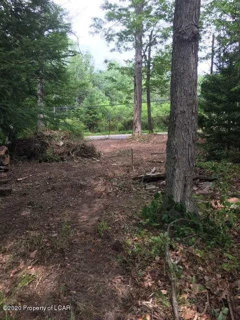 Noxen Road, Harveys Lake in Harveys Lake